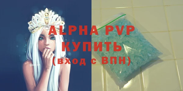 a pvp Бородино