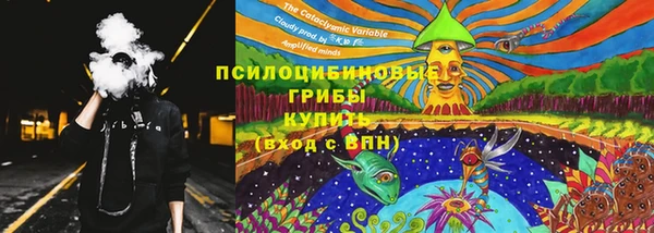 соль ск Вязьма