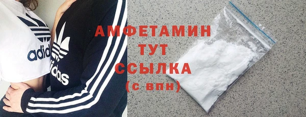 твердый Вяземский