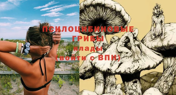 твердый Вяземский
