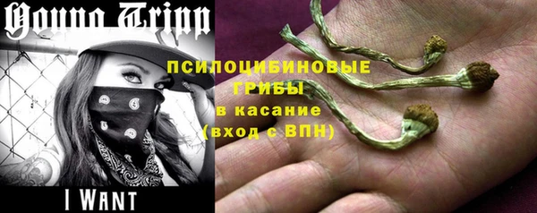 шишки Володарск