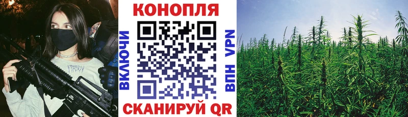 Марихуана план  Верхний Уфалей 